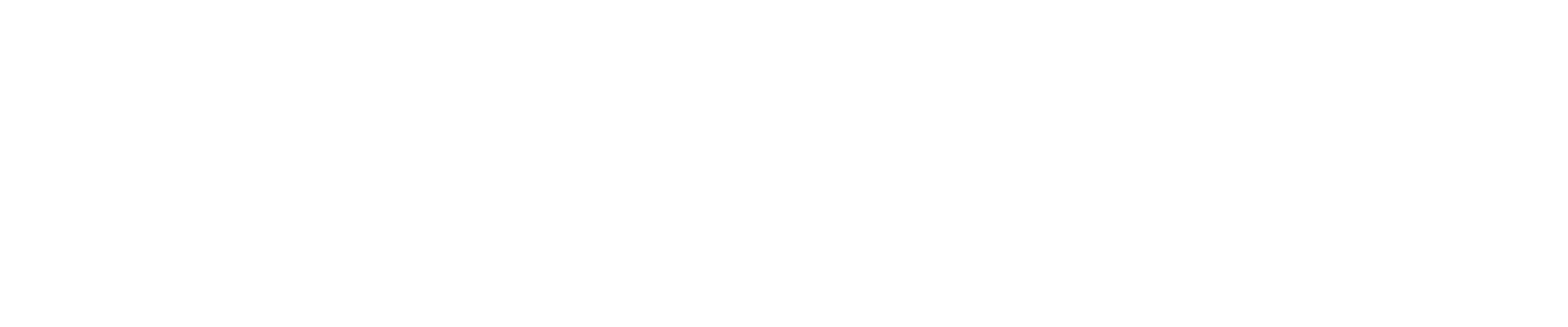CanonFyre Consulting Wordmark